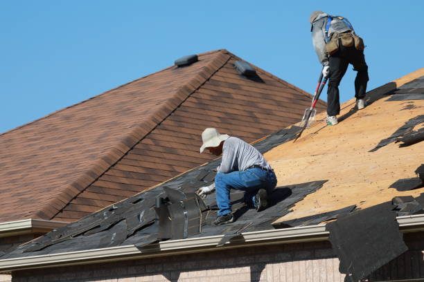 Best Storm Damage Roof Repair  in Kitsap Lake, WA